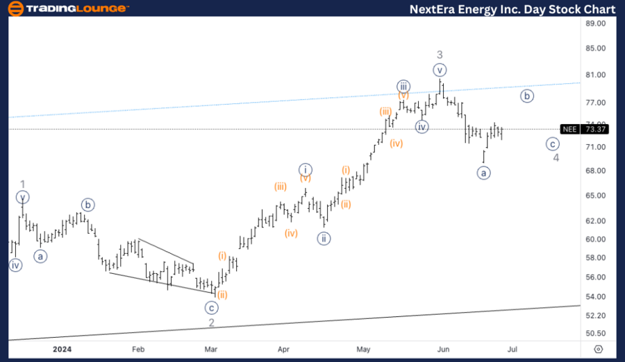 NextEra-Energy-Inc-D...