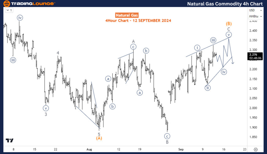 Natural-Gas-Commodit...