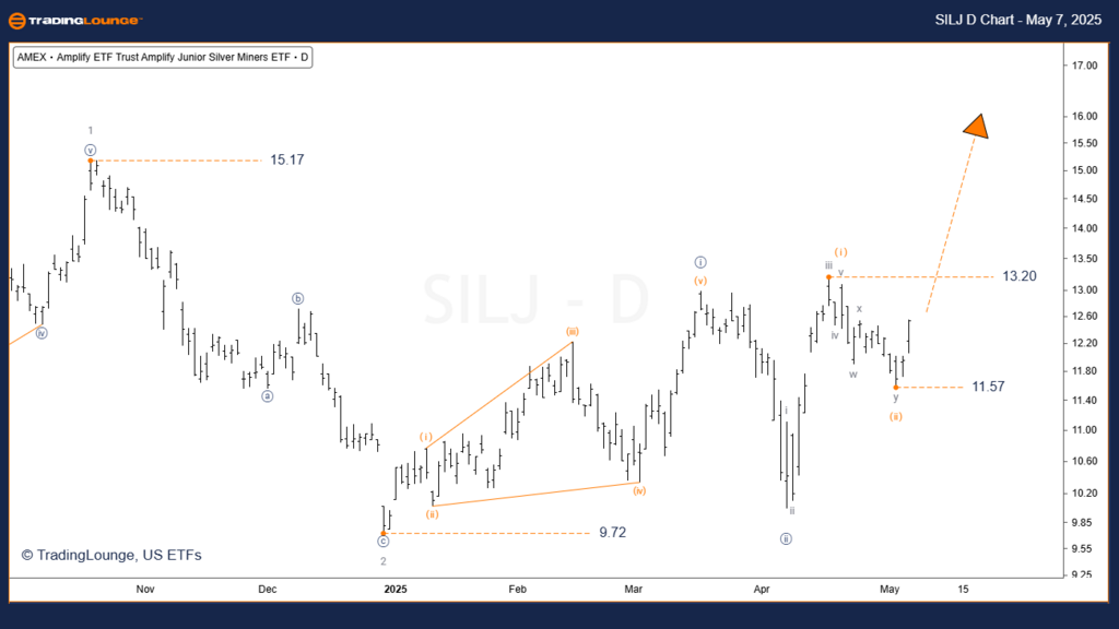 SILJ-ETF-Day-Chart-0...