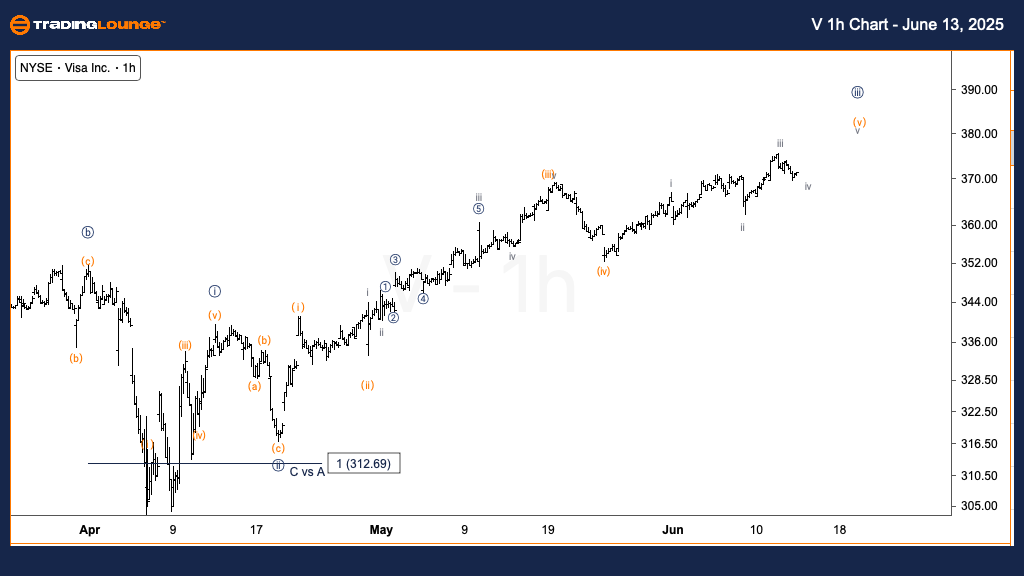 Visa-1h-chart-130625
